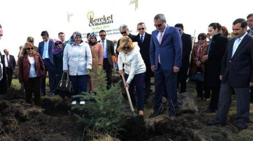 10 Bin Fidan Dikip, Halay &Ccedil;ektiler