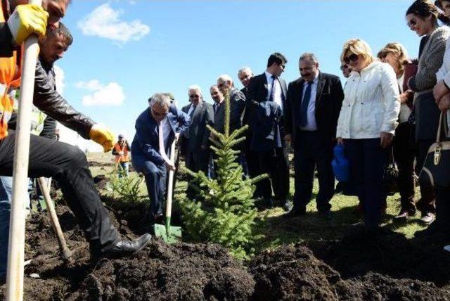 10 Bin Fidan Dikip, Halay Çektiler