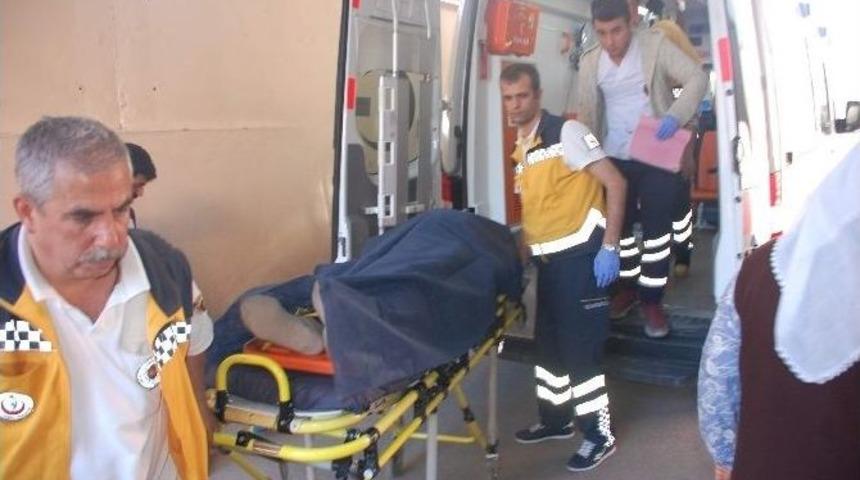 Adıyaman&rsquo;da Ağa&ccedil;tan D&uuml;şen Kişi Yaralandı