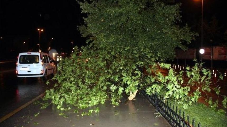 Yalova&rsquo;da Fırtına Ve Sağanak Yağış