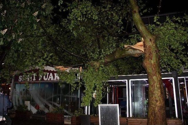 Fırtına Ve Yağış Yalova’yı Felç Etti 2