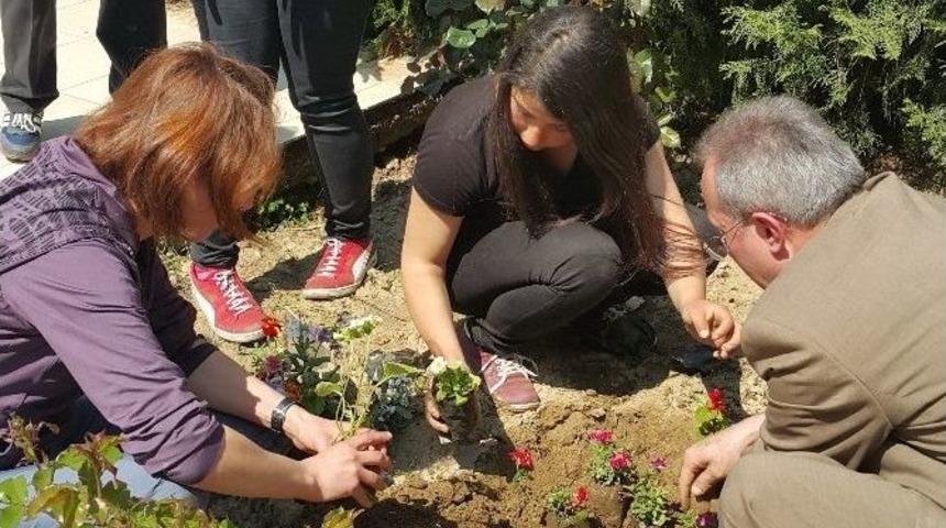 Umurlu &Ouml;ğrencileri &Ccedil;i&ccedil;ek Ve Fidan Dikerek &Ouml;rnek Oldu