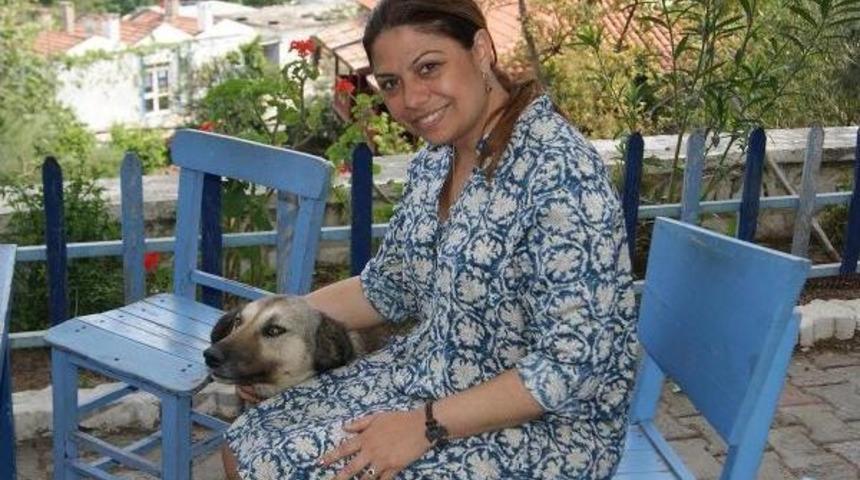 Chp'li Aday Altıok Hayvan Bakımevini Ziyaret Etti