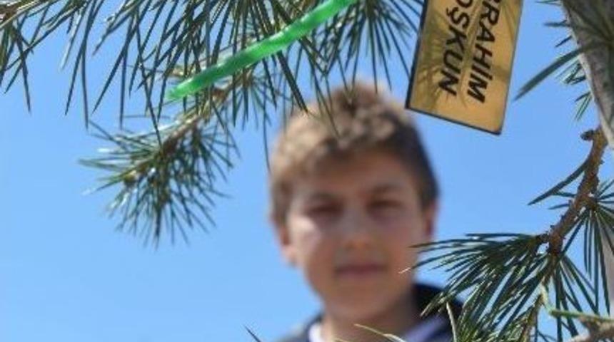 Tekden Ortaokulu &Ouml;ğrencileri Fidan Dikti