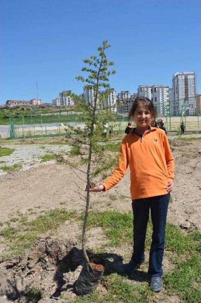 Tekden Ortaokulu Öğrencileri Fidan Dikti