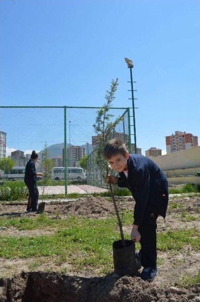 Tekden Ortaokulu Öğrencileri Fidan Dikti