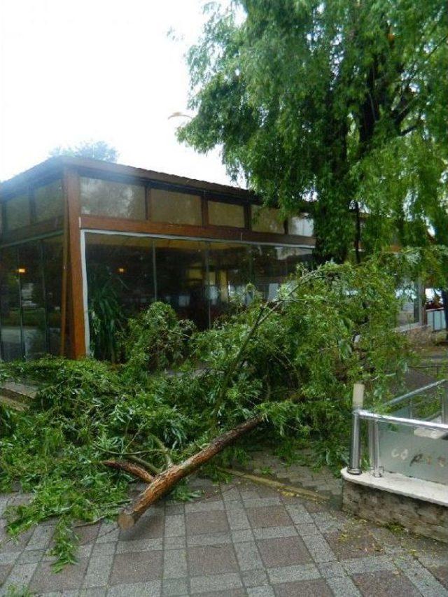 Kocaeli nde Şiddetli Fırtına Etkili Oldu 1