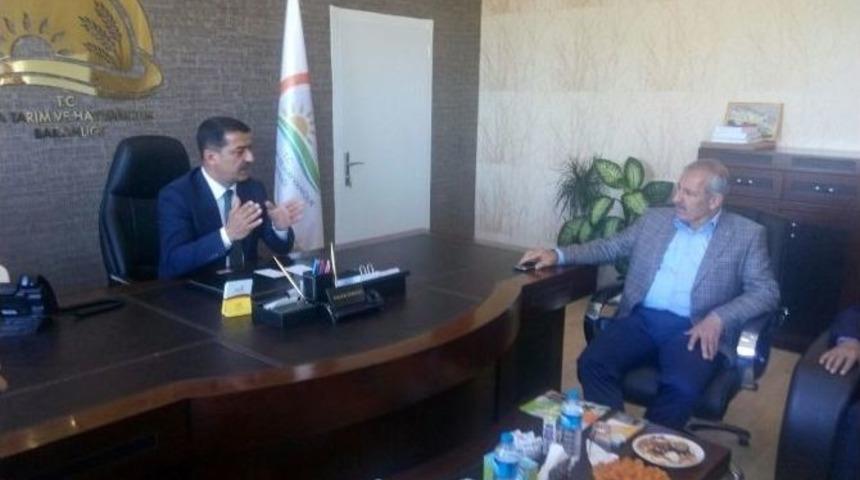 Şahin: &ldquo;malatyalı &Ccedil;ift&ccedil;ilerimize Bereket Getirdik&rdquo;