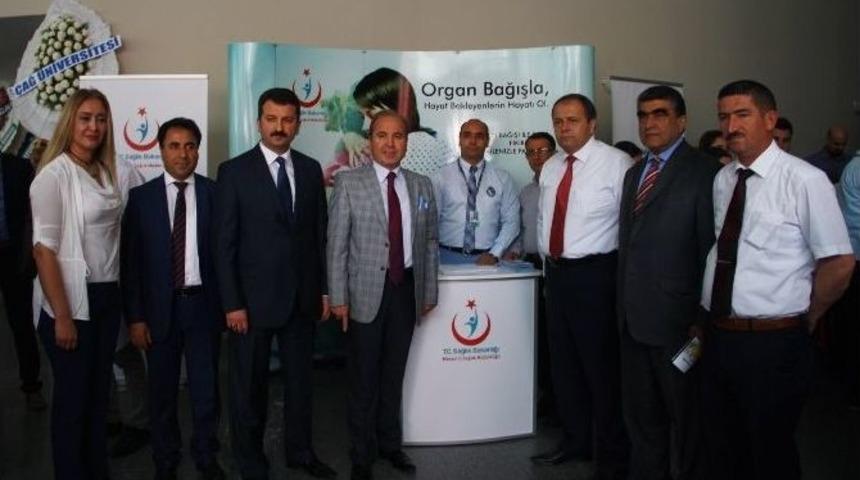 Yeni Hayat&rdquo;larına Merhaba Diyenlerin Hikayesi Tarsus&rsquo;ta