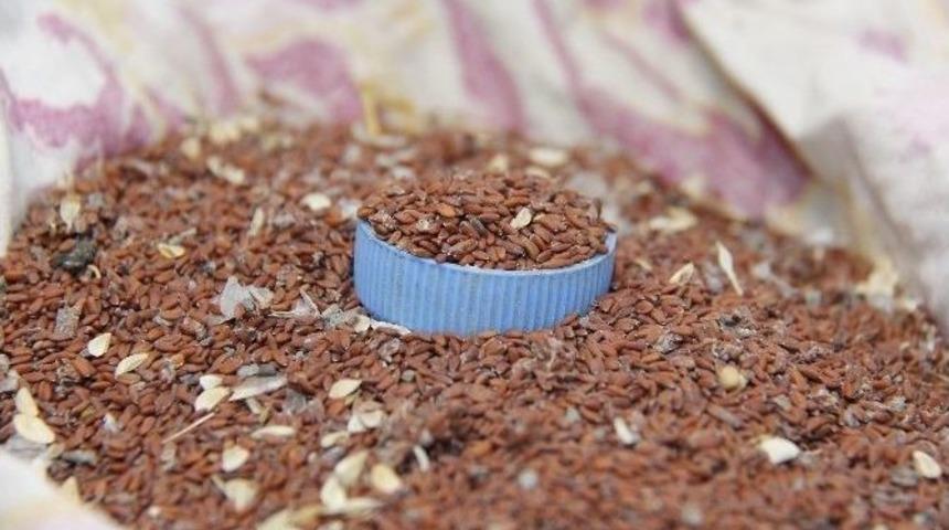 Yerli Tohumlar Cuma Pazarında