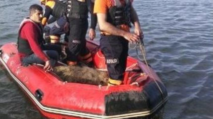 Beyler Barajı Ka&ccedil;ak Avcıların Attığı Ağlardan Temizlendi