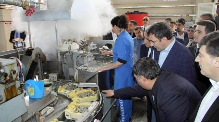 Kalkınma Bakanı Cevdet Yılmaz, Kulp İl&ccedil;esini Ziyaret Etti