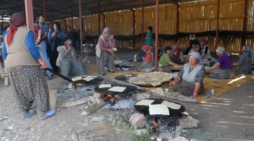 G&ouml;&ccedil;men Kuşlar Doğaya Salındı