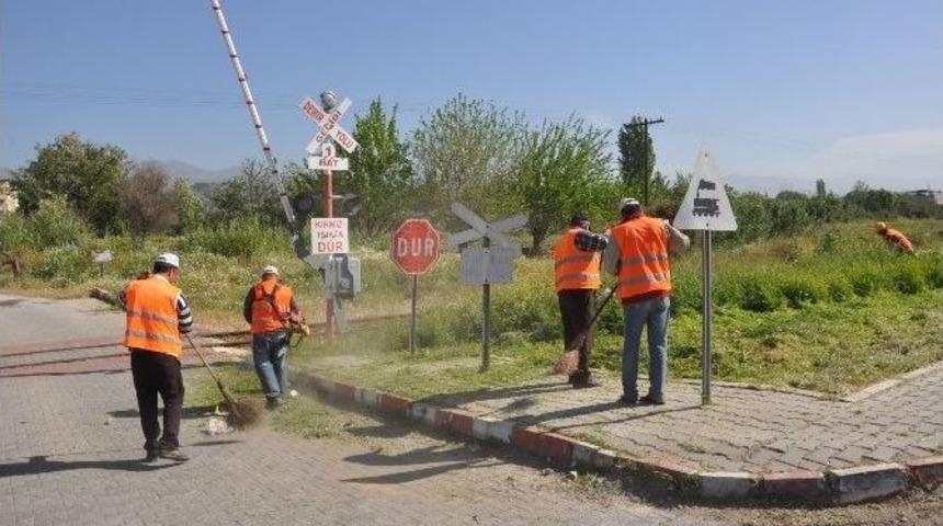 Nazilli&rsquo;de Cadde Ve Bulvarlardaki Yabani Otlar Temizleniyor