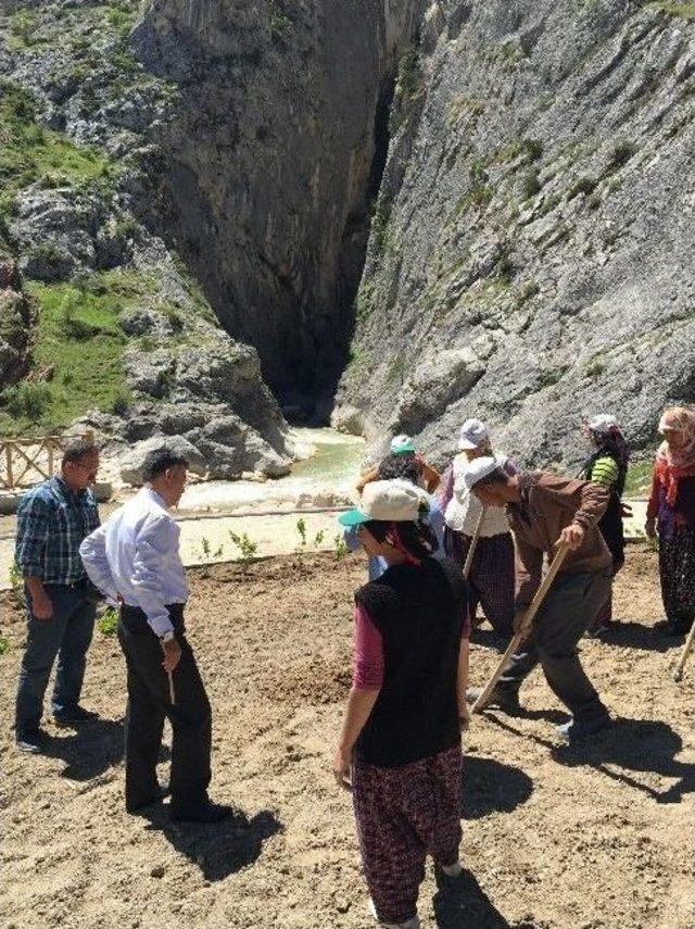 Harmankaya Kanyonu Tabiat Parkı’nda Fidan Dikimi Yapıldı