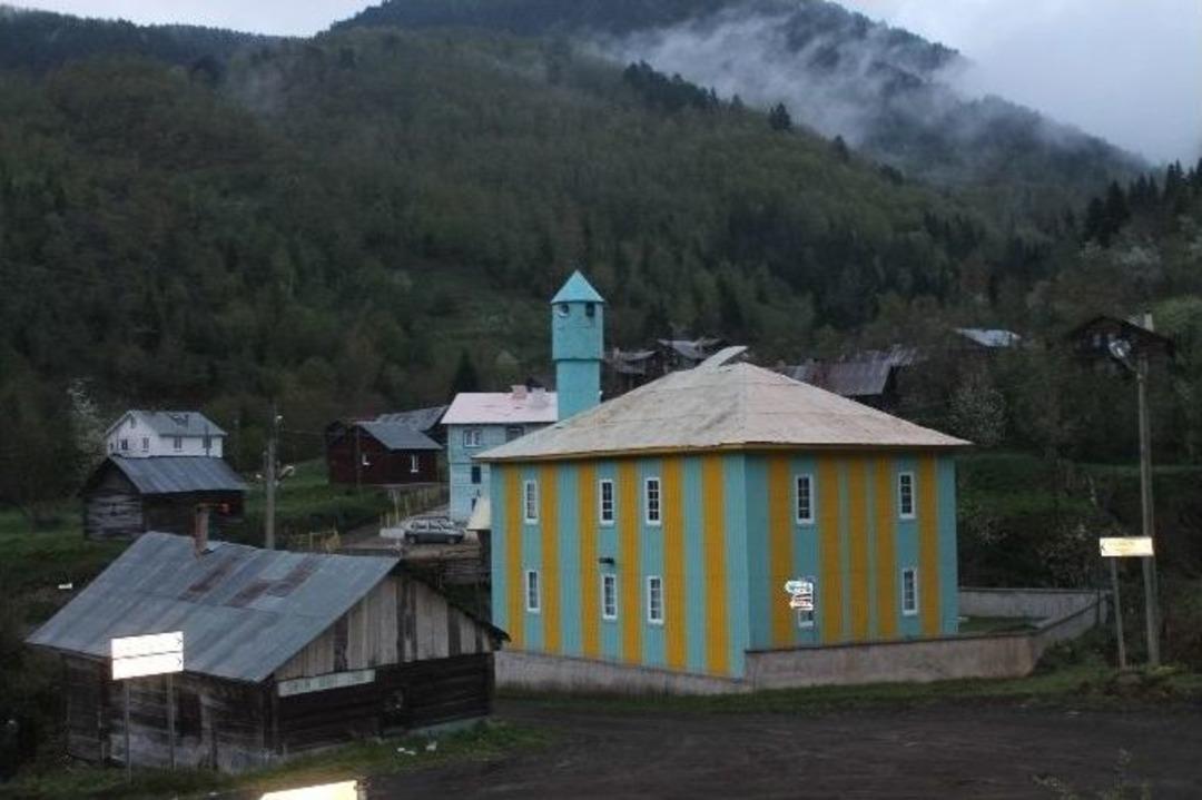 Kastamonu&rsquo;da Kuş Gribi Vakası