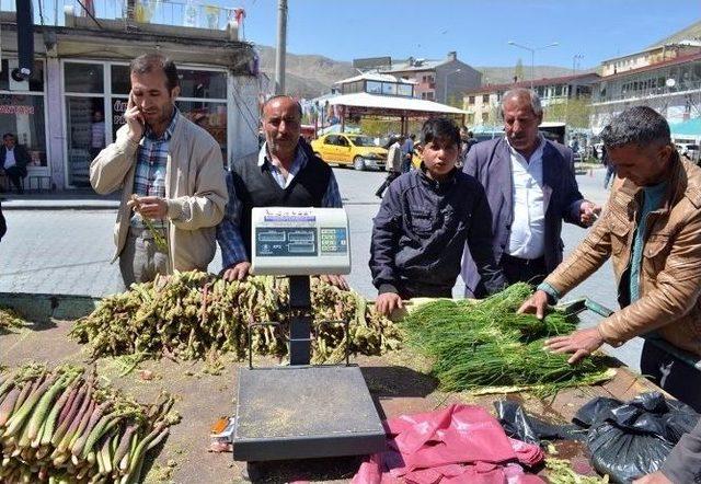 Şifalı Otlar Ge&ccedil;im Kaynakları Oldu 1