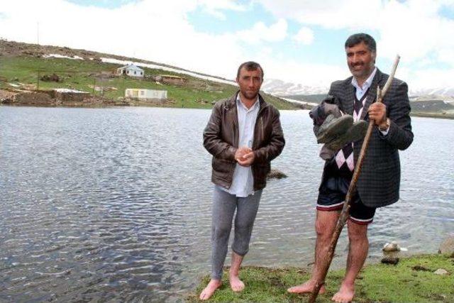 Baraj Suları Yükselince 70 Hane Mahsur Kaldı