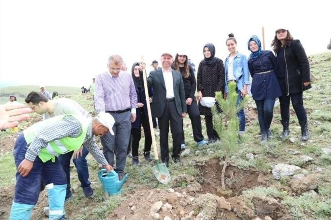 &Ccedil;olakbayrakdar Buğdaylı Ormanı&rsquo;na İlk Fidanı Dikti