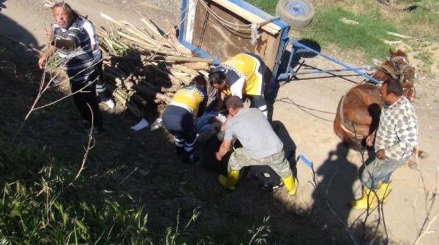 Devrilen At Arabasının Altında Kaldı, Parmağı Koptu