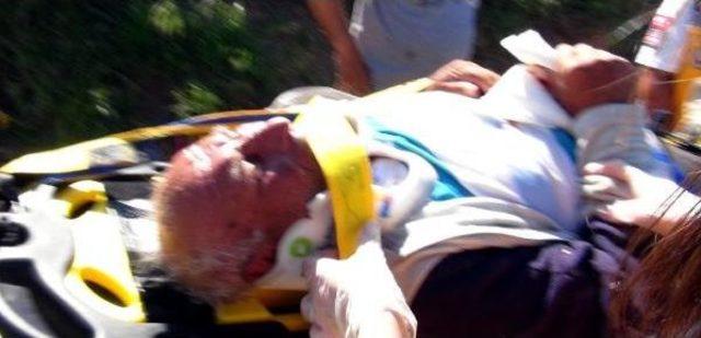 Devrilen At Arabasının Altında Kaldı, Parmağı Koptu 1