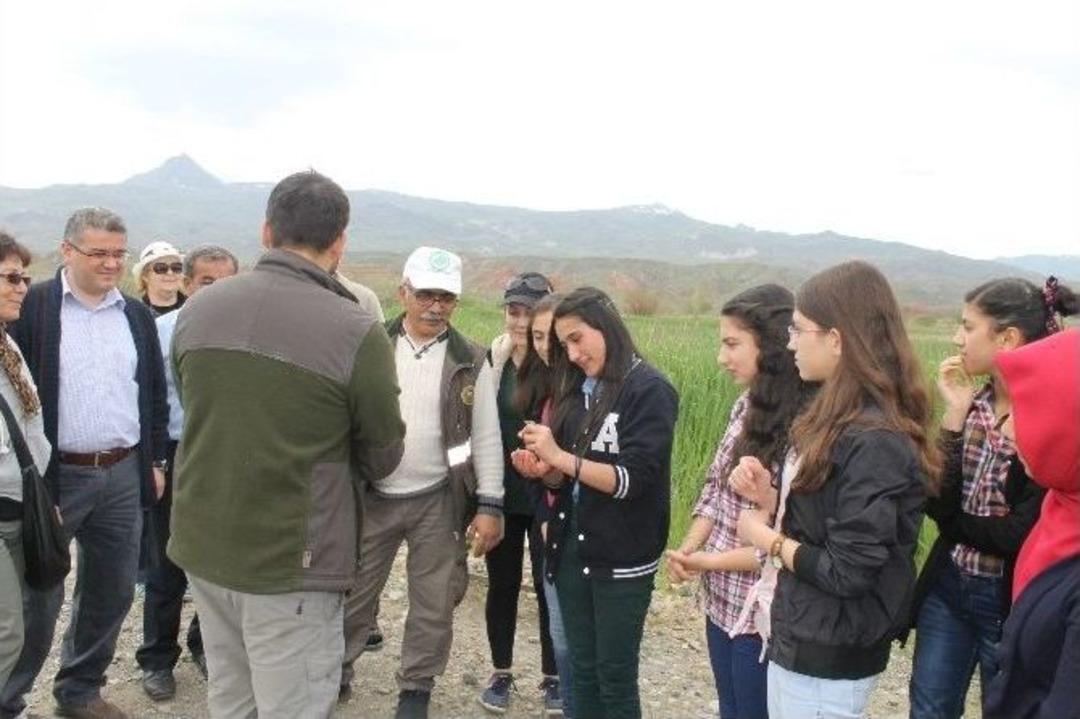 D&uuml;nya G&ouml;&ccedil;men Kuşlar G&uuml;n&uuml; Etkinliği