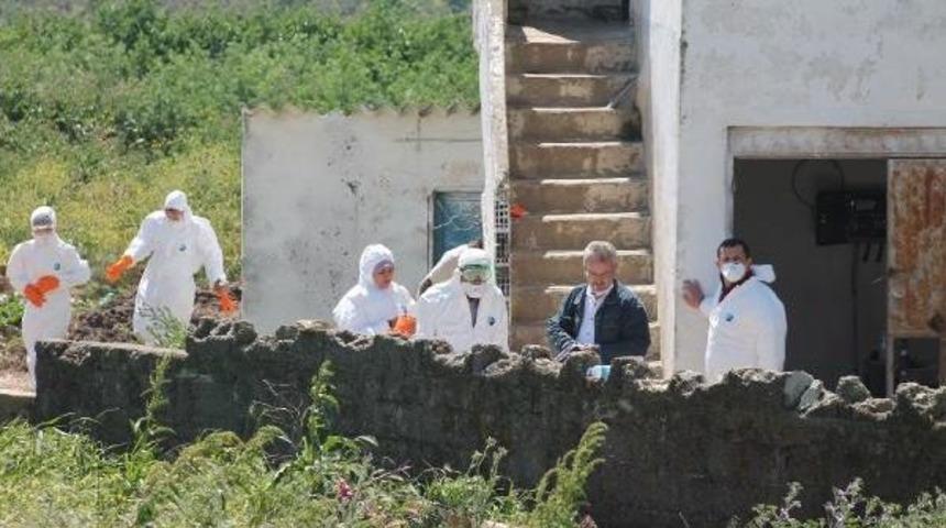 Bandırma&rsquo;Da Bir Yumurta &Uuml;retim Tesisinde Daha Kuş Gribi G&ouml;r&uuml;ld&uuml;
