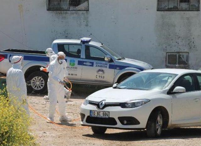 Bandırma’Da Bir Yumurta Üretim Tesisinde Daha Kuş Gribi Görüldü