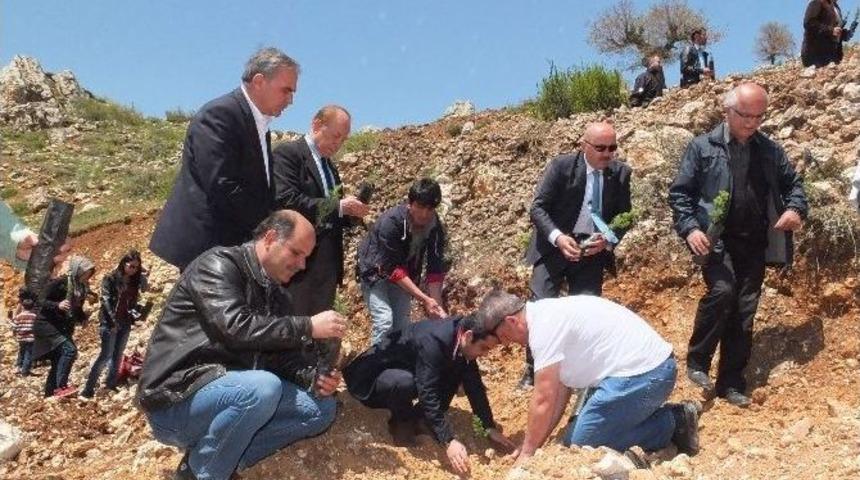 Konyalı Yazarlar Sarıveliler&rsquo;de Fidan Dikti