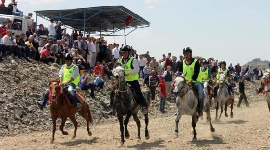 Mardin'de, Rahvan At Şampiyonası Yapıldı