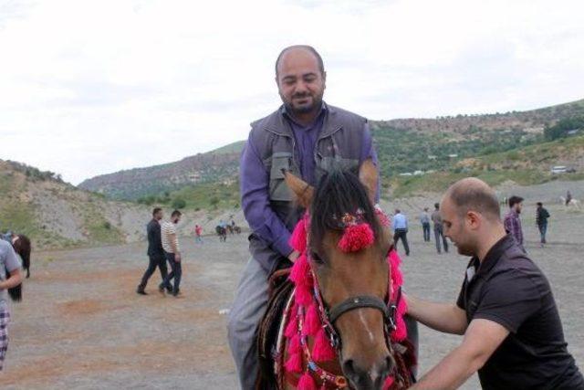 Mardin'de, Rahvan At Şampiyonası Yapıldı