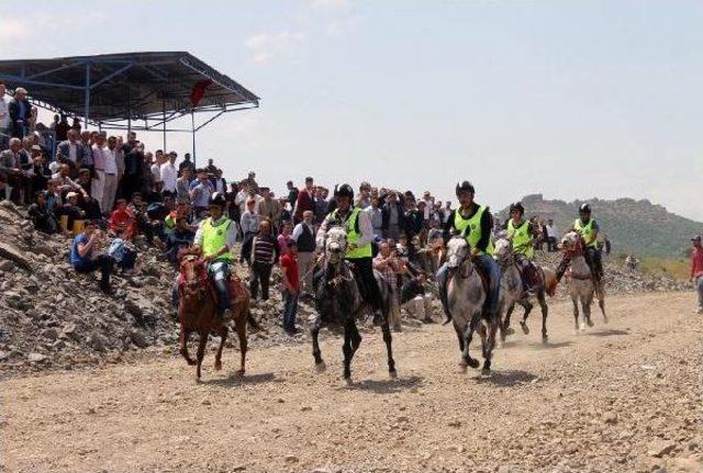 Mardin'de, Rahvan At Şampiyonası Yapıldı