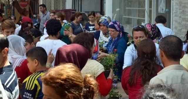 Germencik’te Çiçek Dağıtımı Dünyanın En Özel Çiçeklerine Yapıldı