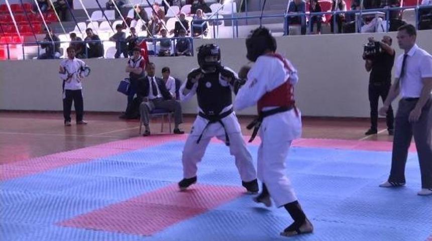 Nanbudo D&uuml;nya Kupası Hırvatistan'ın