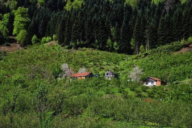 Doğa Yürüyüşleri Devam Ediyor