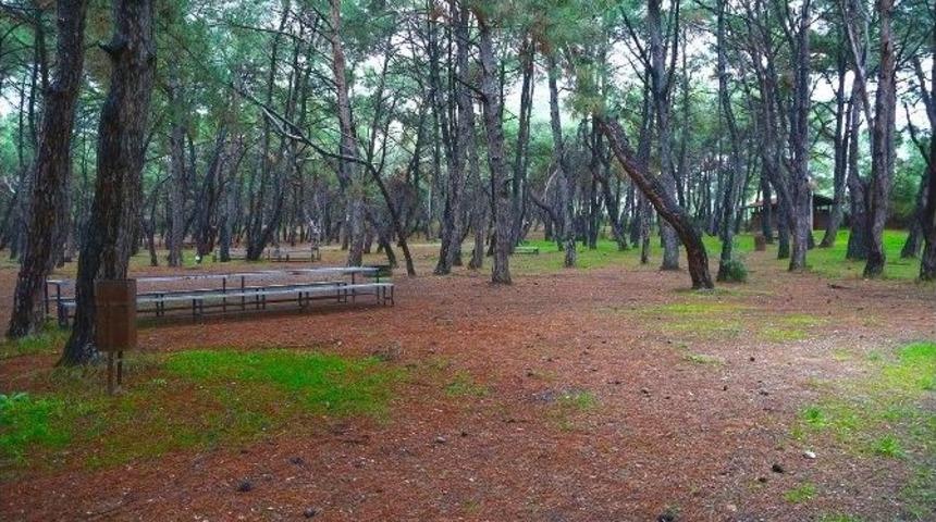 İzmir&rsquo;e Devasa Piknik Alanı