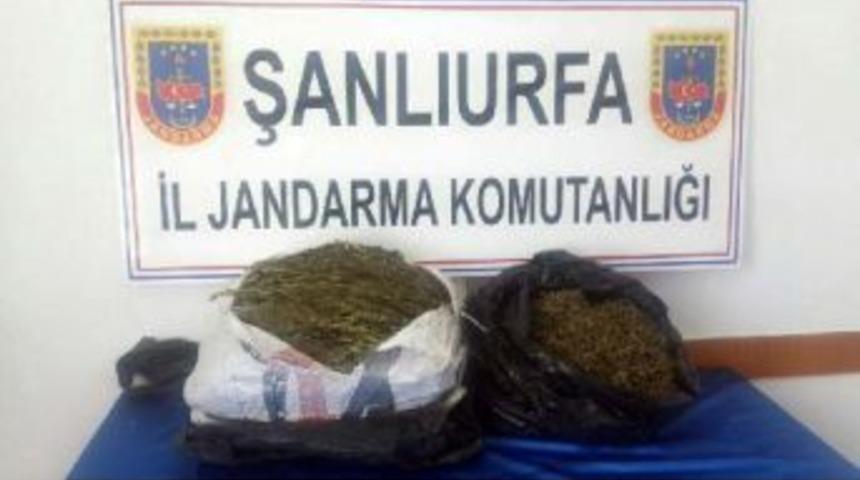 Otomobilde Esrara 2 G&ouml;zaltı