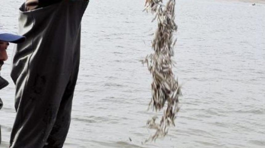 Yozgat'tan Avrupa'ya Balık Ihracaatı