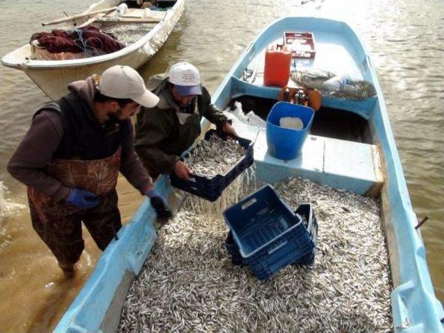 Yozgat tan Avrupa ya Balık Ihracaatı 1
