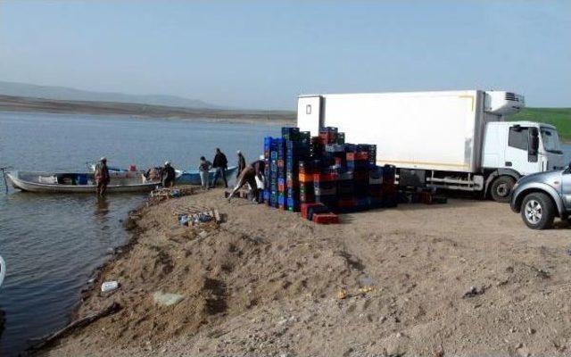 Yozgat tan Avrupa ya Balık Ihracaatı 3