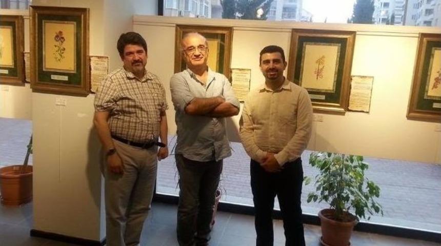 Admi Efendi Ve Ş&uuml;kufename Sergisi