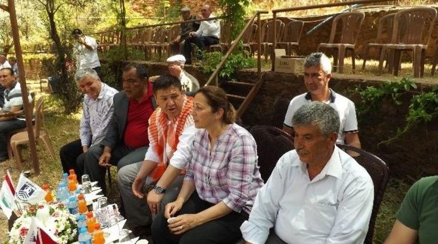 Ak Parti Bodrum İl&ccedil;e Teşkilatı Yağlı G&uuml;reş Festivaline Katıldı