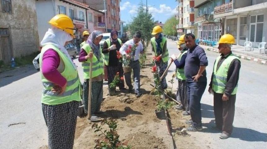 Pazarlar&rsquo;da Cadde Ve Sokaklar &Ccedil;i&ccedil;ek A&ccedil;tı