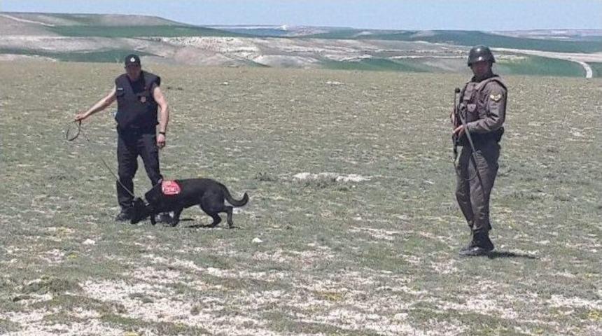 Yozgat Jandarmanın İz Takip K&ouml;pek Timi Babasını &Ouml;ld&uuml;ren Zanlıyı Yakaladı