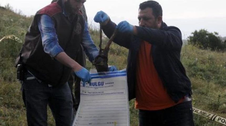 Gaziantep'te Arazide Insan Kemiği Bulundu