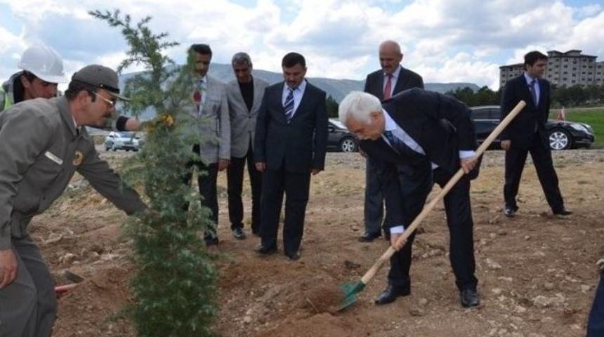 Başbakan Ahmet Davutoğlu Adına Hatıra Ormanı Oluşturuldu