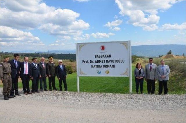 Başbakan Ahmet Davutoğlu Adına Hatıra Ormanı Oluşturuldu