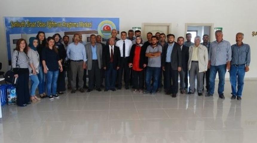 Şanlıurfa&rsquo;da &rsquo;fıstık Yetiştiriciliği&rsquo; Paneli D&uuml;zenlendi
