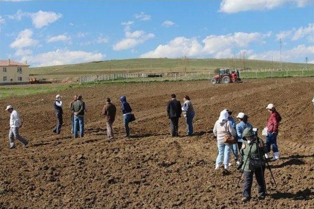 Yozgat’ta Deneme Nohut Ekimi Yapıldı