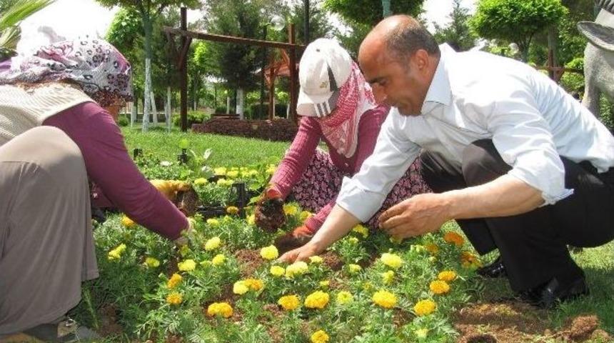 İş&ccedil;ilerle Birlikte &Ccedil;apa Yapıp &Ccedil;i&ccedil;ek Dikti
